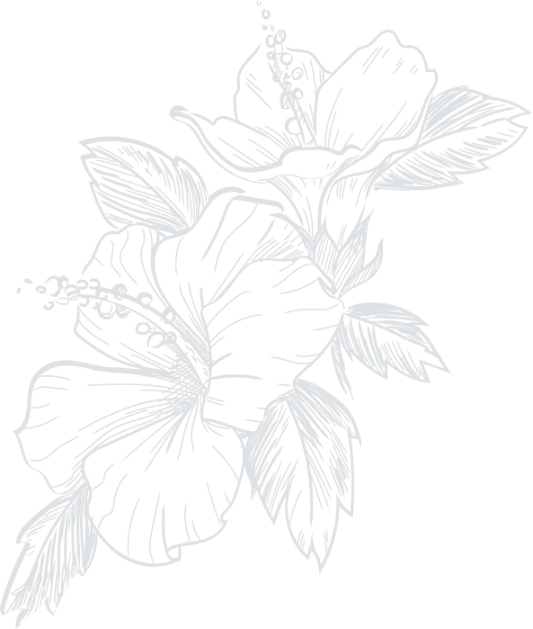 vector